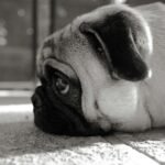 Come sto quando sento parlare della CILA per bonus ristrutturazione