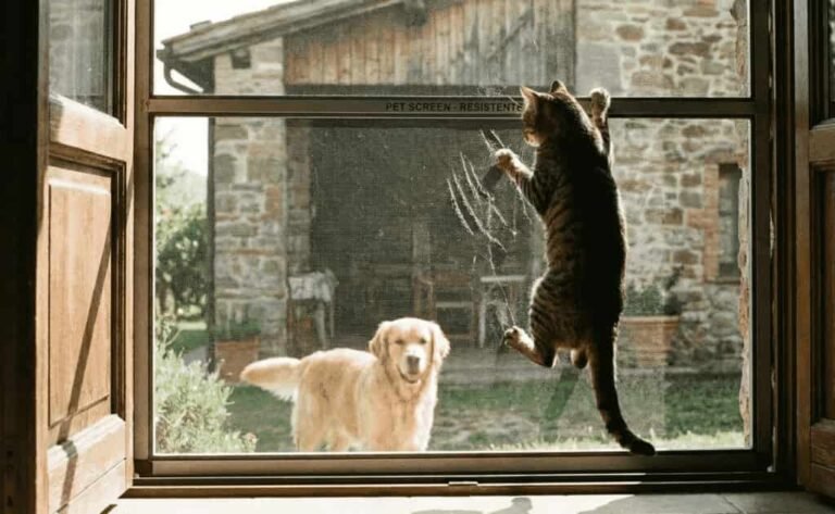 Guida definitiva al bonus zanzariere 2026: detrazioni, modelli, prezzi e manutenzione