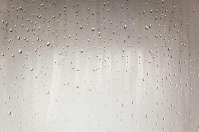 Deumidificatore: la guida definitiva 2026 a modelli, consumi e salute